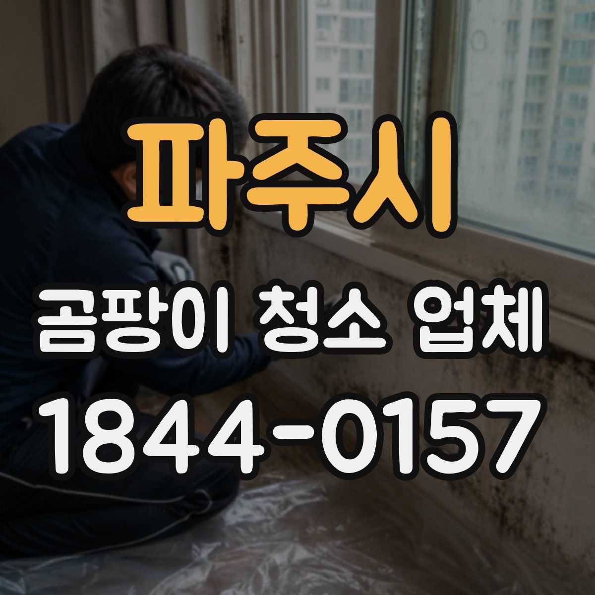 파주시 곰팡이 청소 업체