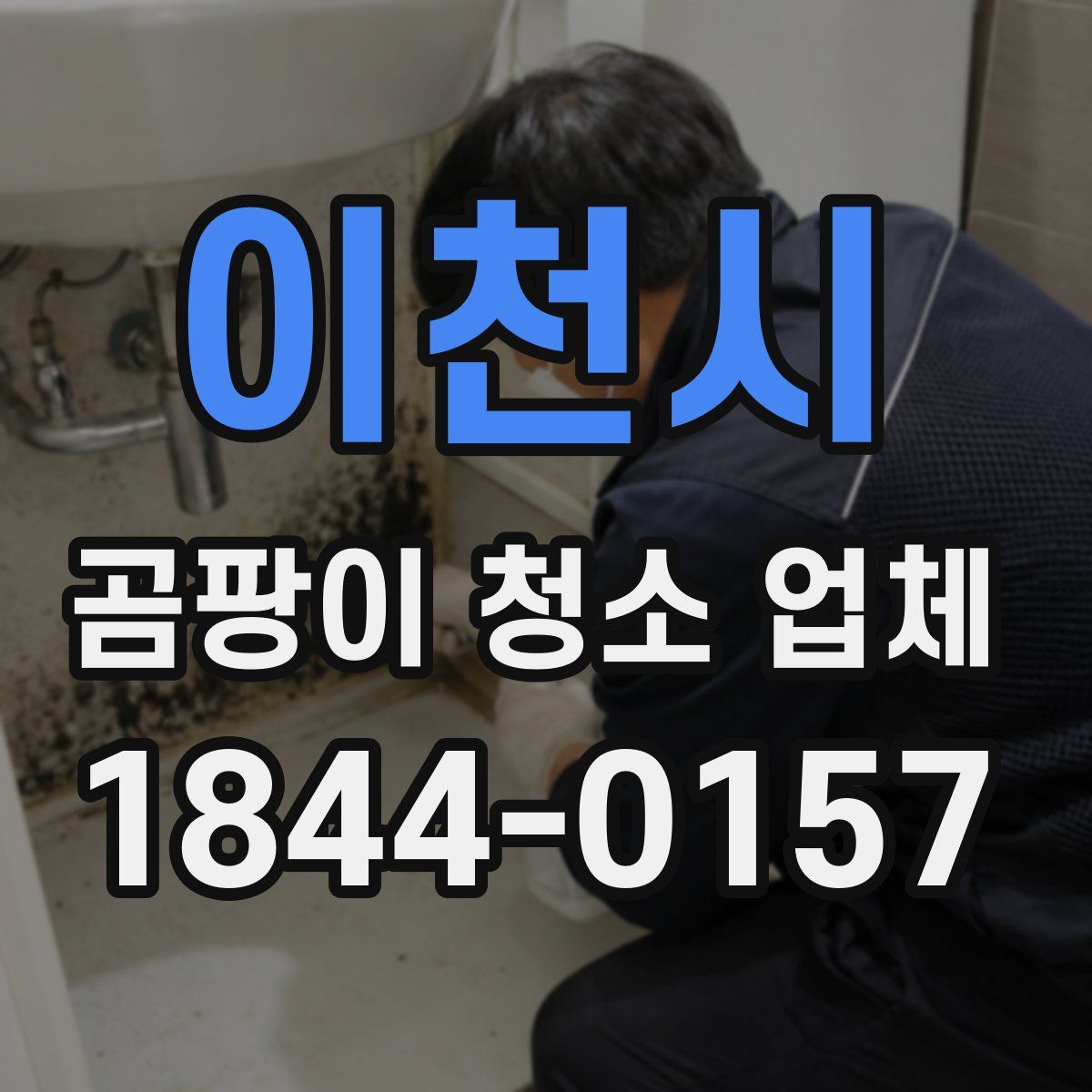이천시 곰팡이 청소 업체