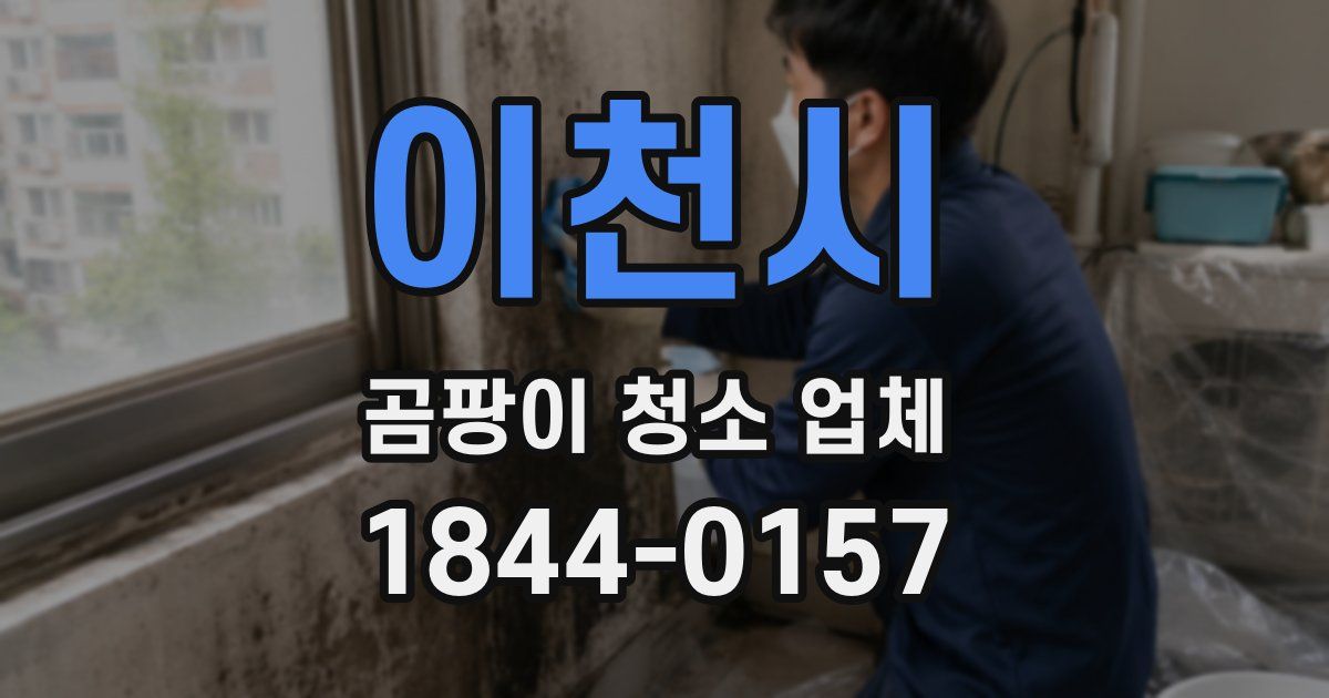 이천시 곰팡이 청소 업체