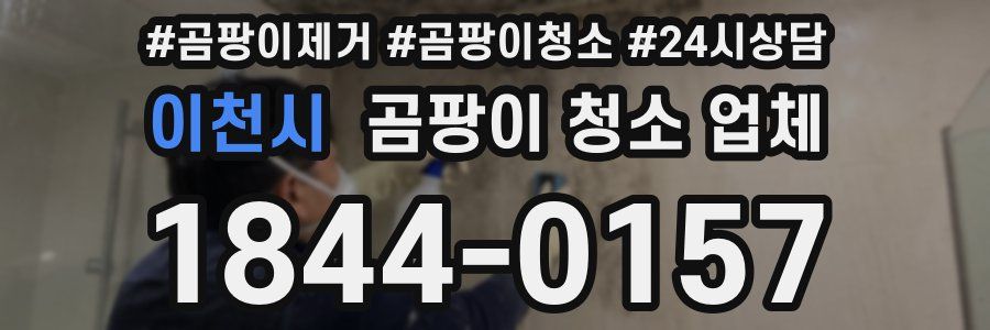 이천시 곰팡이 청소 업체