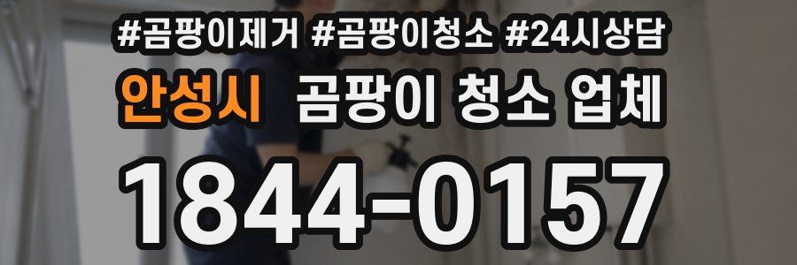 안성시 곰팡이 청소 업체