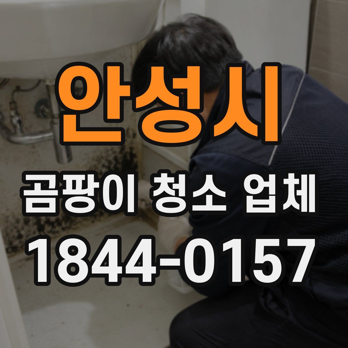 안성시 곰팡이 청소 업체