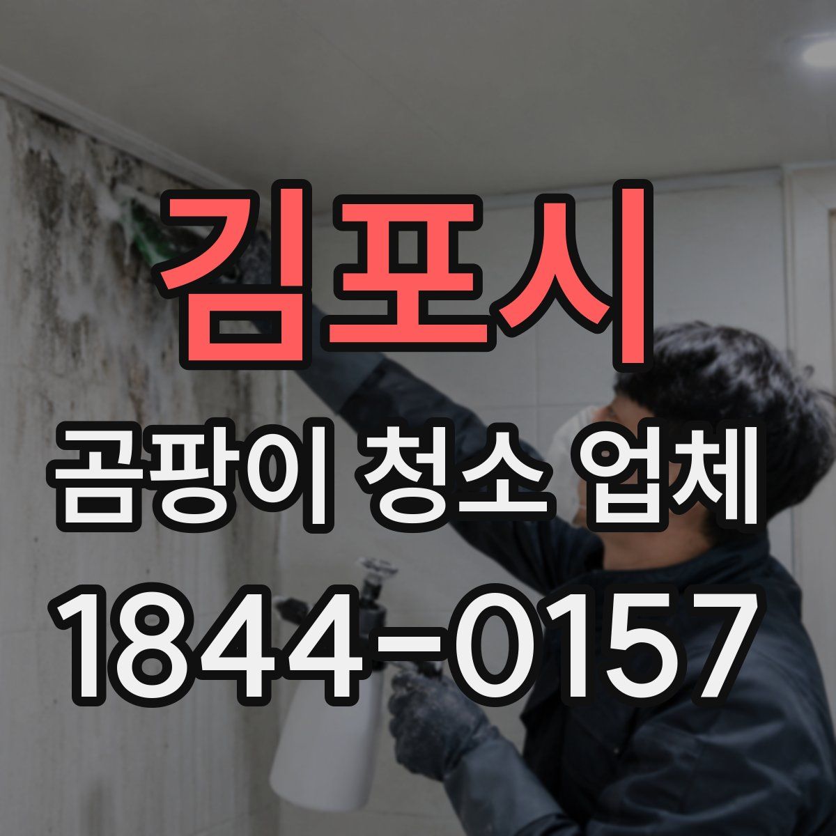 김포시 곰팡이 청소 업체