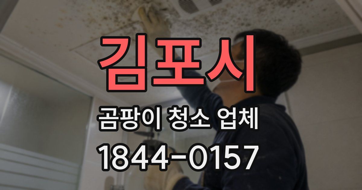 김포시 곰팡이 청소 업체