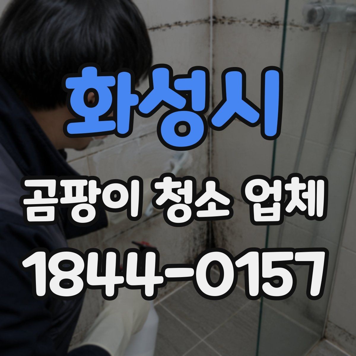 화성시 곰팡이 청소 업체 눈에 드러나지 않는 곰팡이도 점검해야 하는 이유