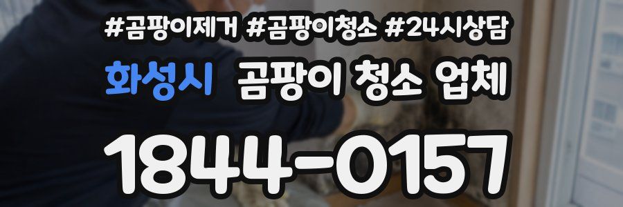 화성시 곰팡이 청소 업체