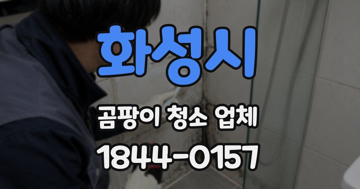 화성시 곰팡이 청소 업체