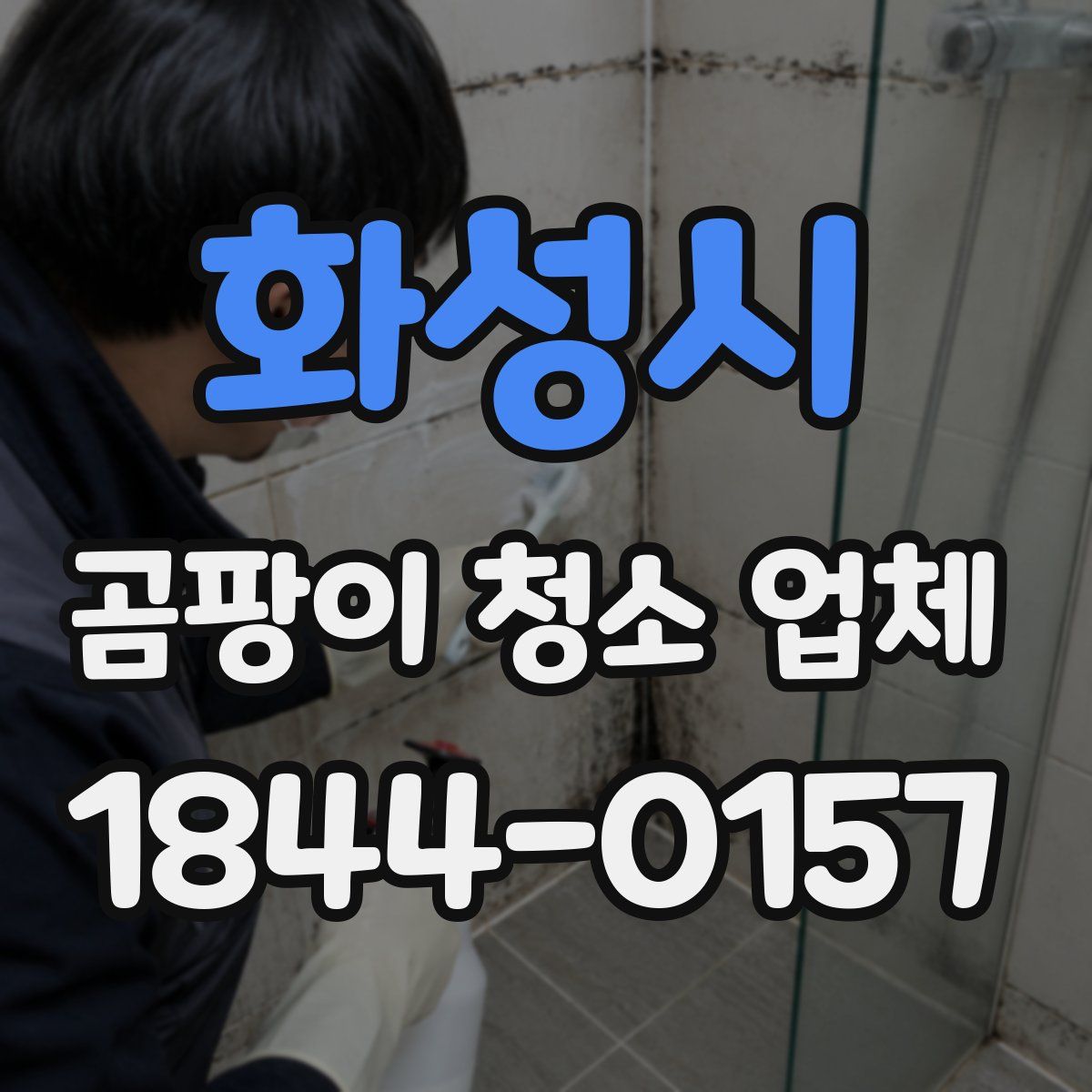 화성시 곰팡이 청소 업체