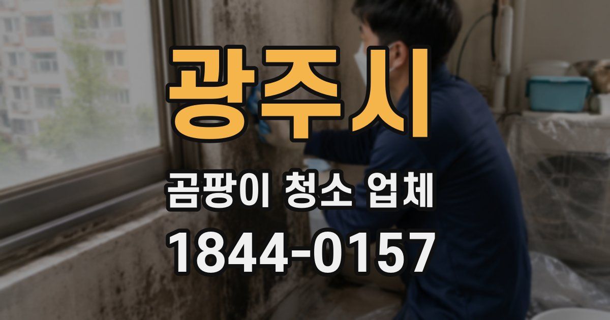 광주시 곰팡이 청소 업체