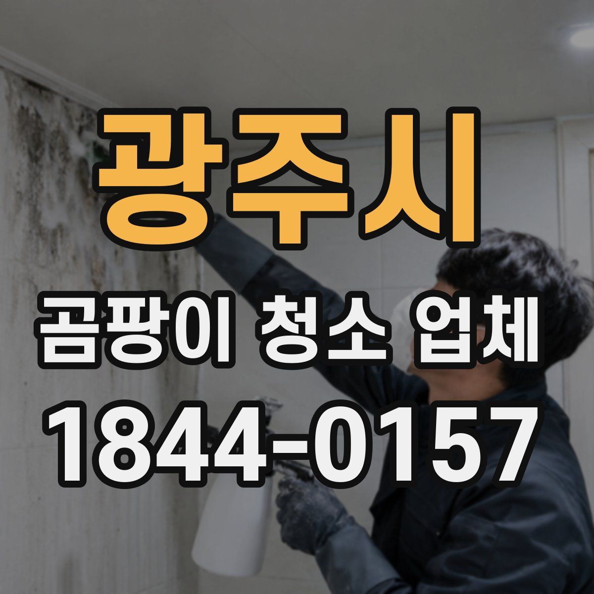 광주시 곰팡이 청소 업체