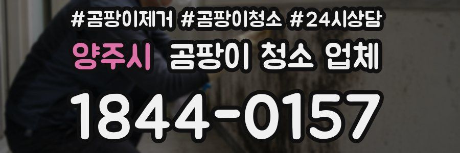 양주시 곰팡이 청소 업체