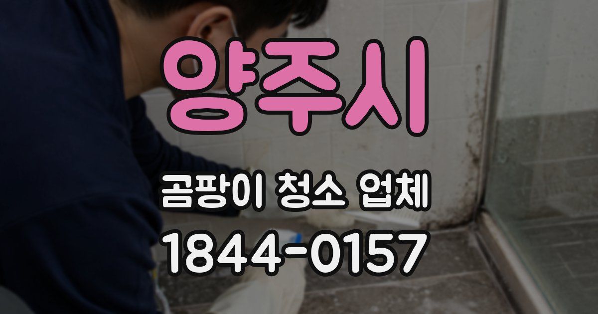 양주시 곰팡이 청소 업체