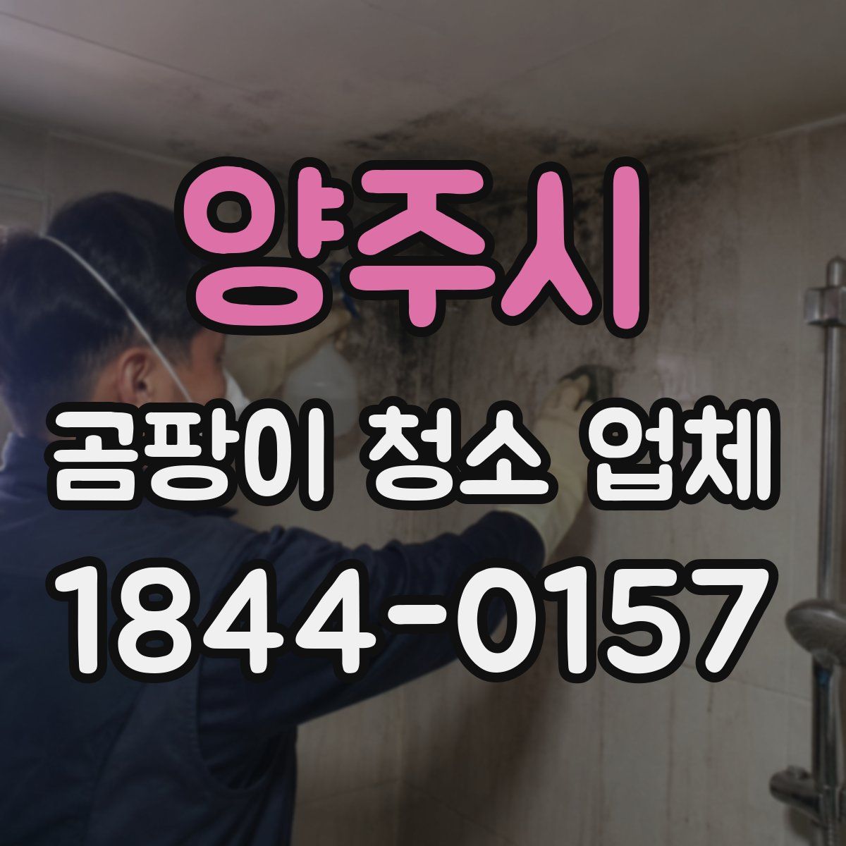 양주시 곰팡이 청소 업체