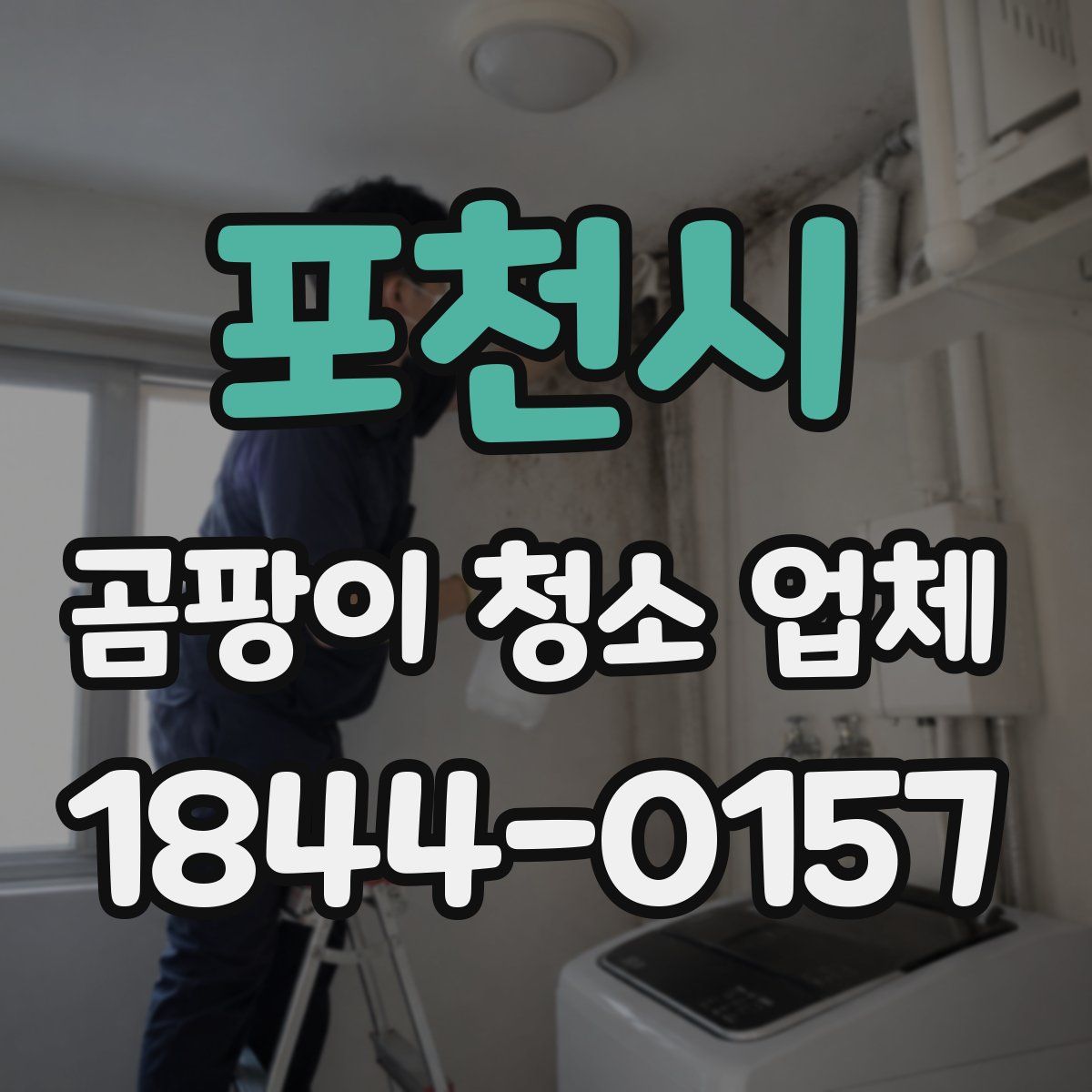 포천시 곰팡이 청소 업체