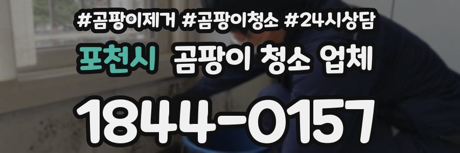 포천시 곰팡이 청소 업체