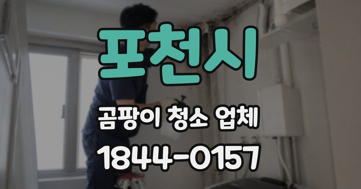포천시 곰팡이 청소 업체