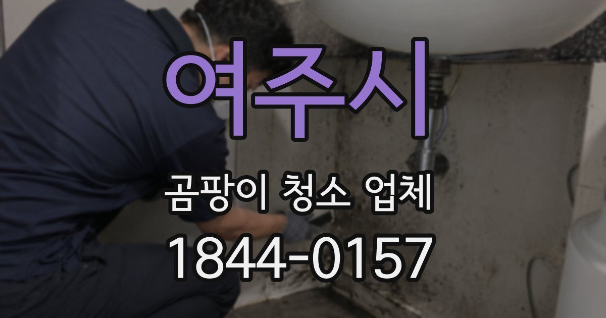 여주시 곰팡이 청소 업체