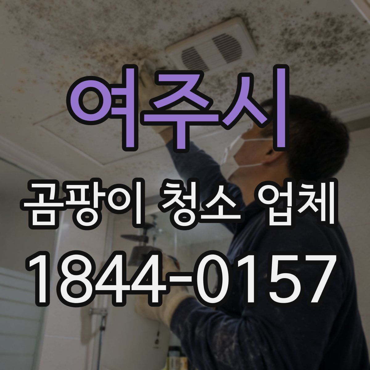 여주시 곰팡이 청소 업체