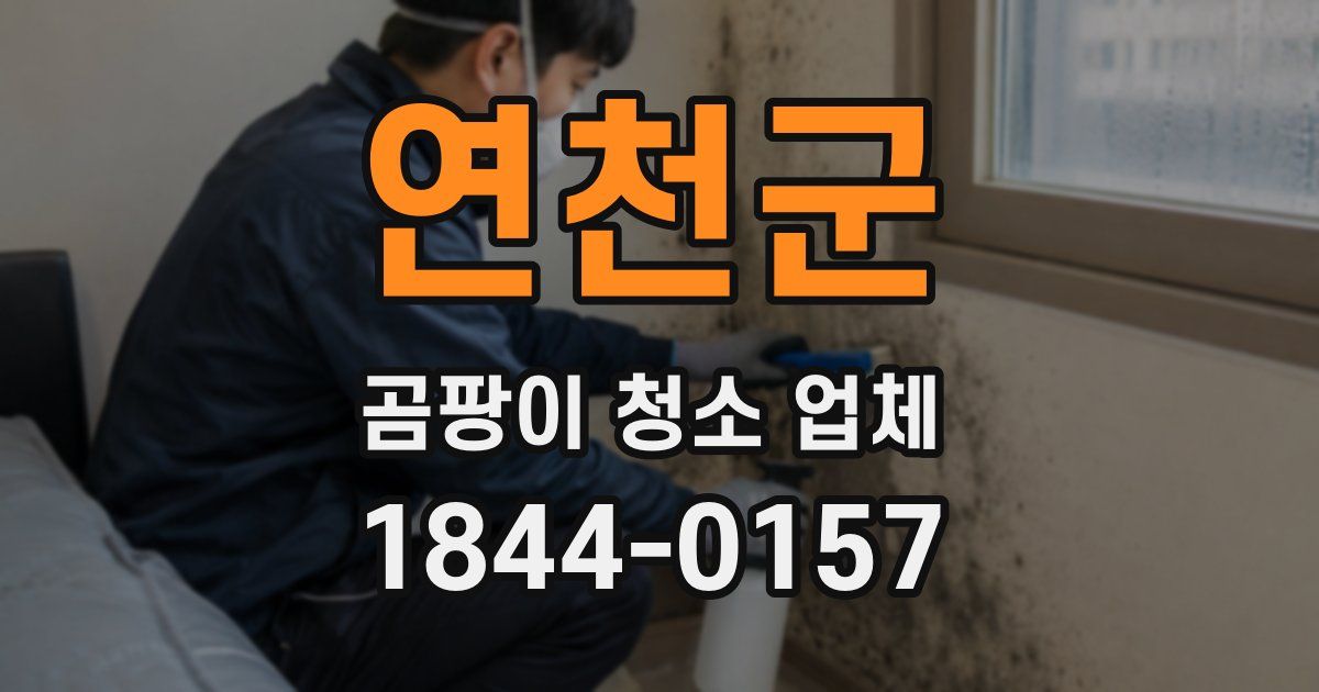 연천군 곰팡이 청소 업체