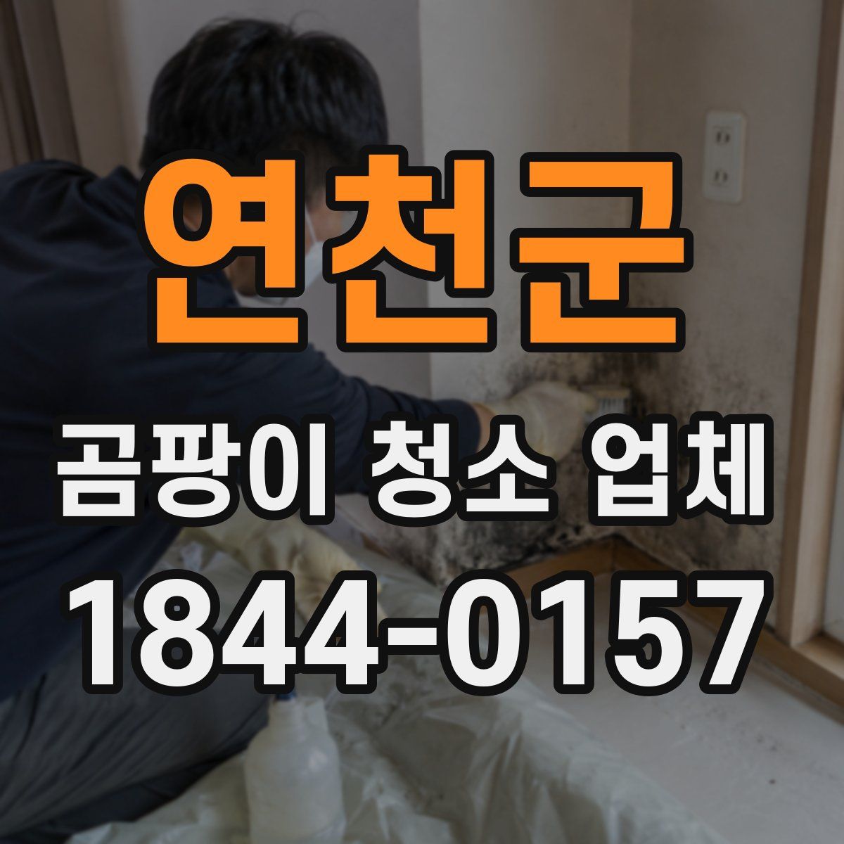 연천군 곰팡이 청소 업체