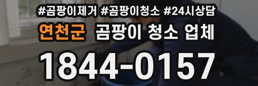연천군 곰팡이 청소 업체
