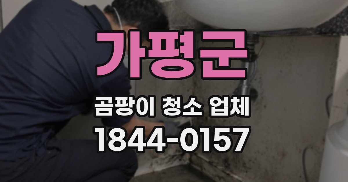 가평군 곰팡이 청소 업체