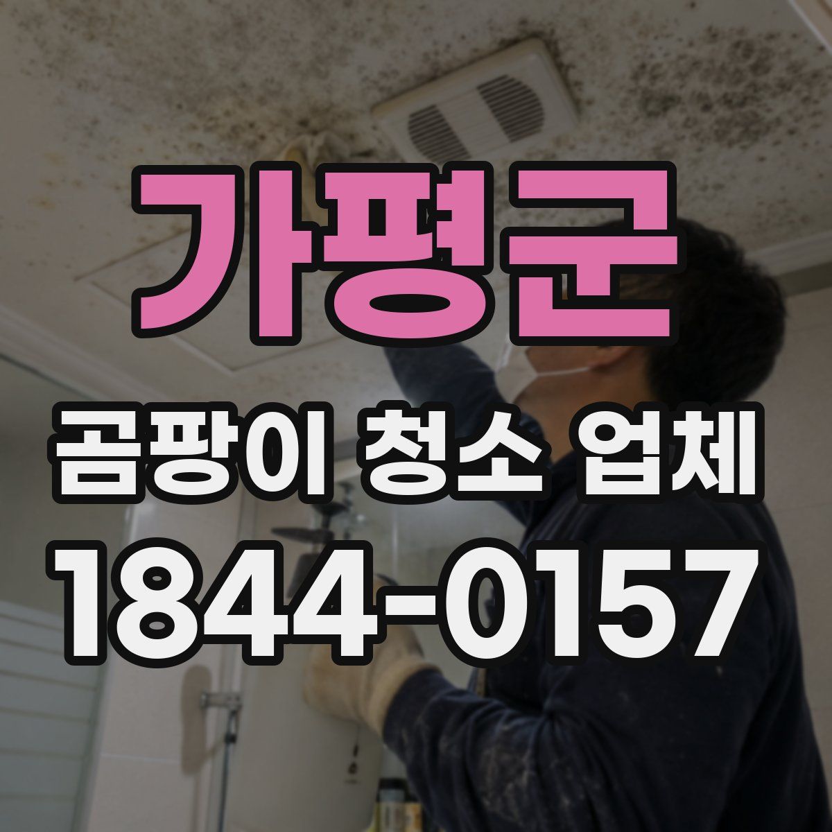 가평군 곰팡이 청소 업체