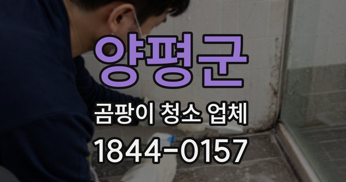 양평군 곰팡이 청소 업체