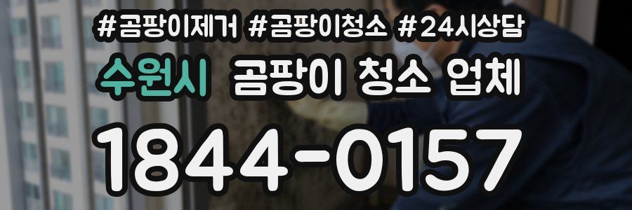 수원시 곰팡이 청소 업체