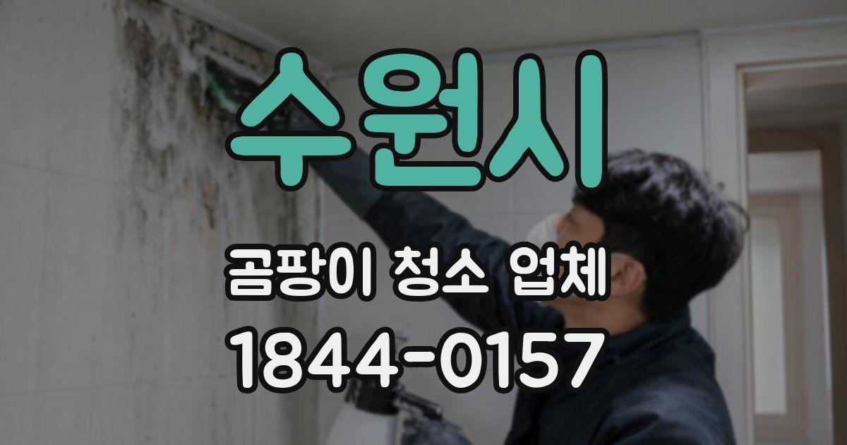 수원시 곰팡이 청소 업체