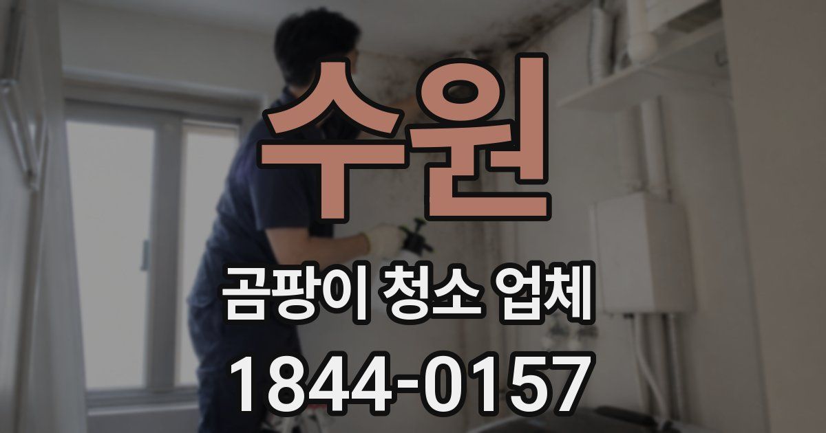 수원 곰팡이 청소 업체