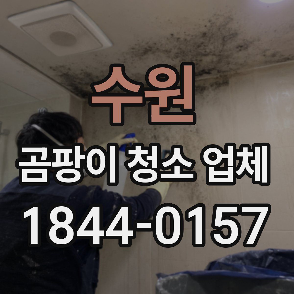수원 곰팡이 청소 업체