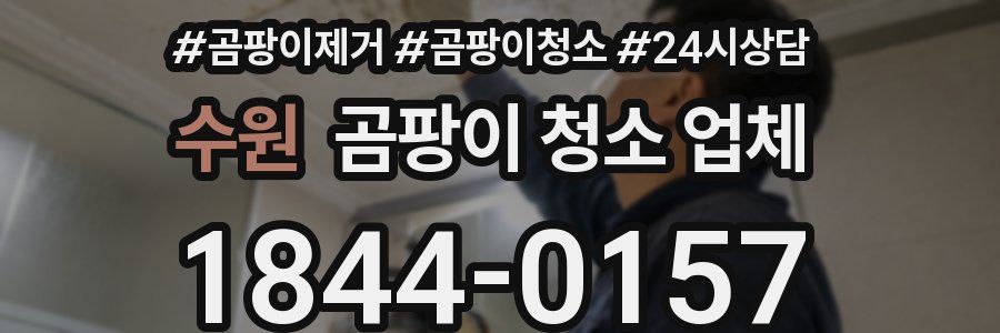 수원 곰팡이 청소 업체