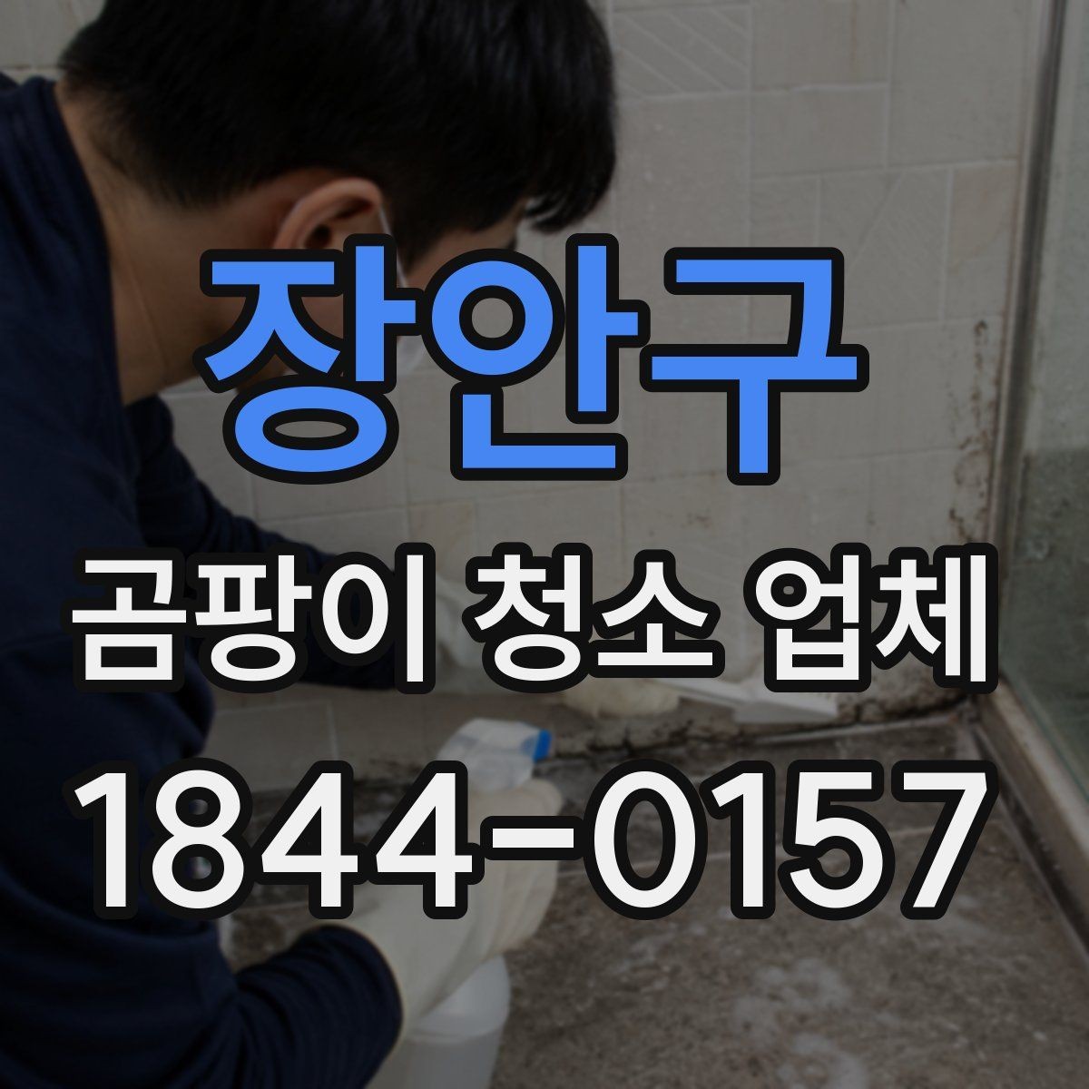 장안구 곰팡이 청소 업체 주방 곰팡이와 기름때 구분법