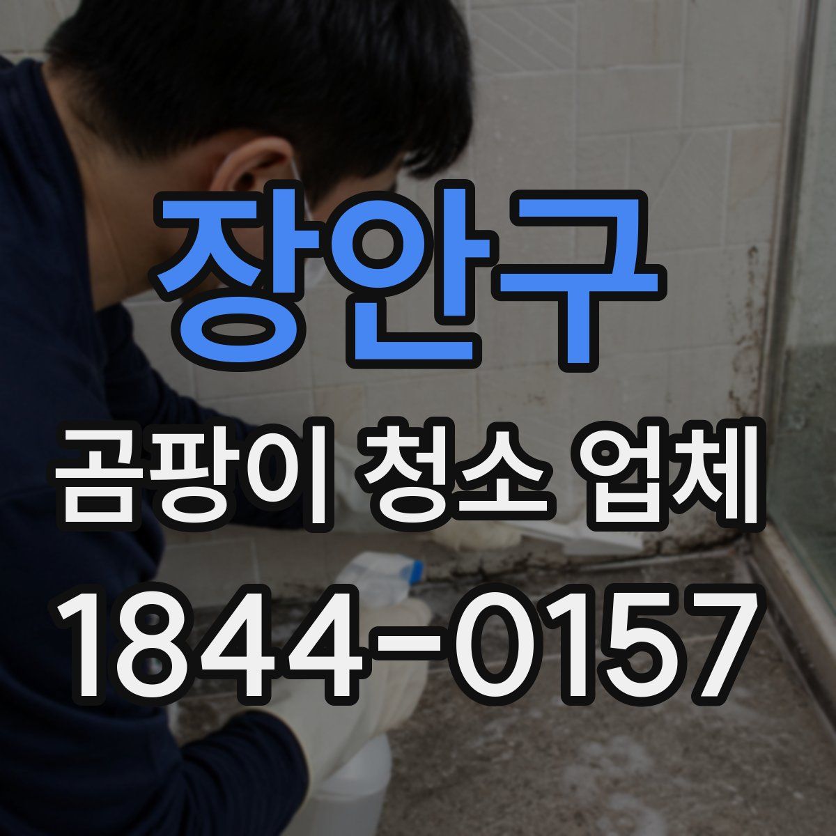 장안구 곰팡이 청소 업체