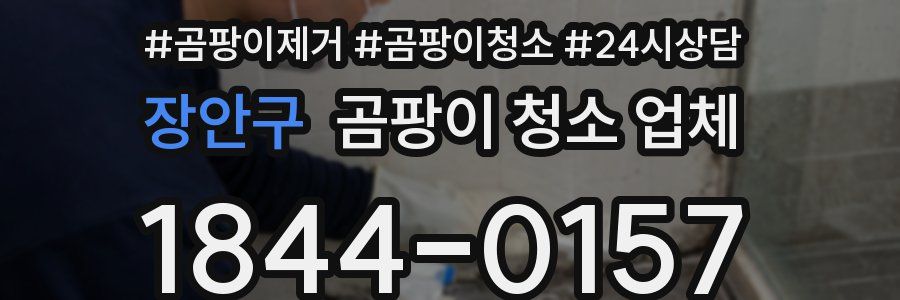 장안구 곰팡이 청소 업체