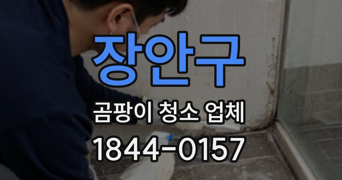 장안구 곰팡이 청소 업체