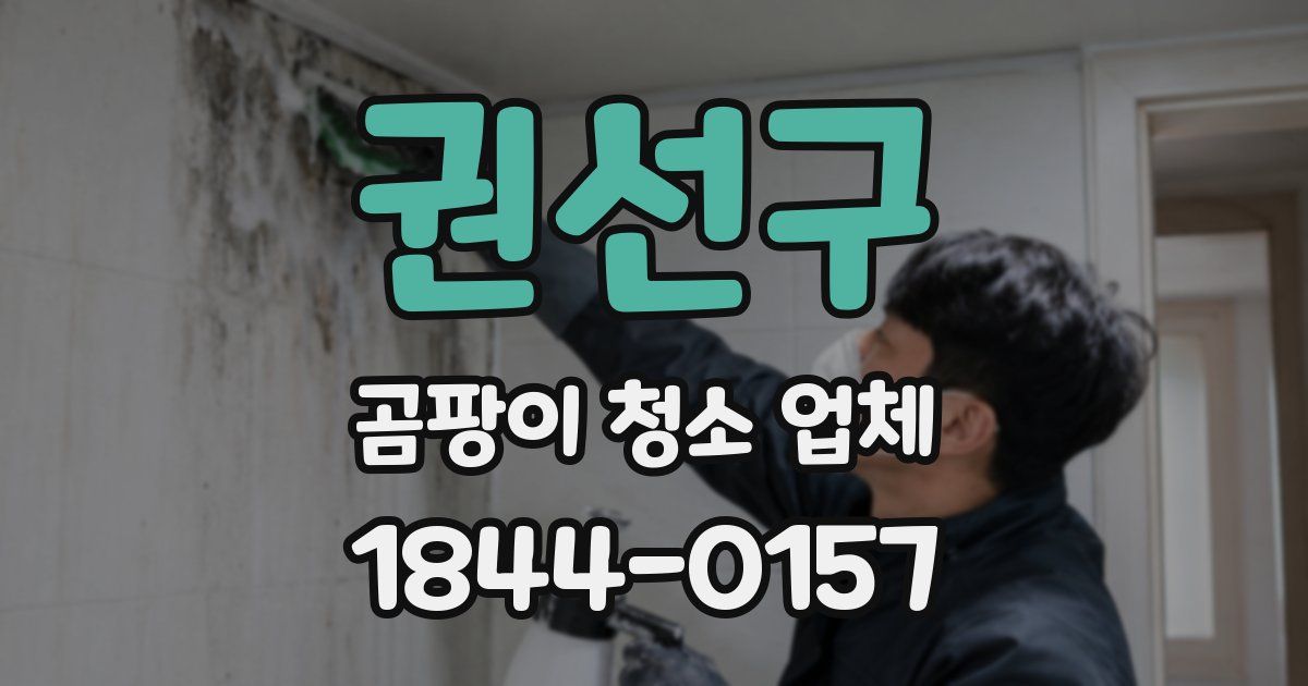 권선구 곰팡이 청소 업체