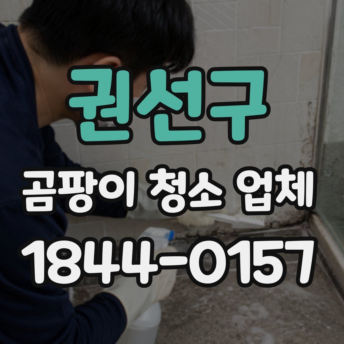 권선구 곰팡이 청소 업체