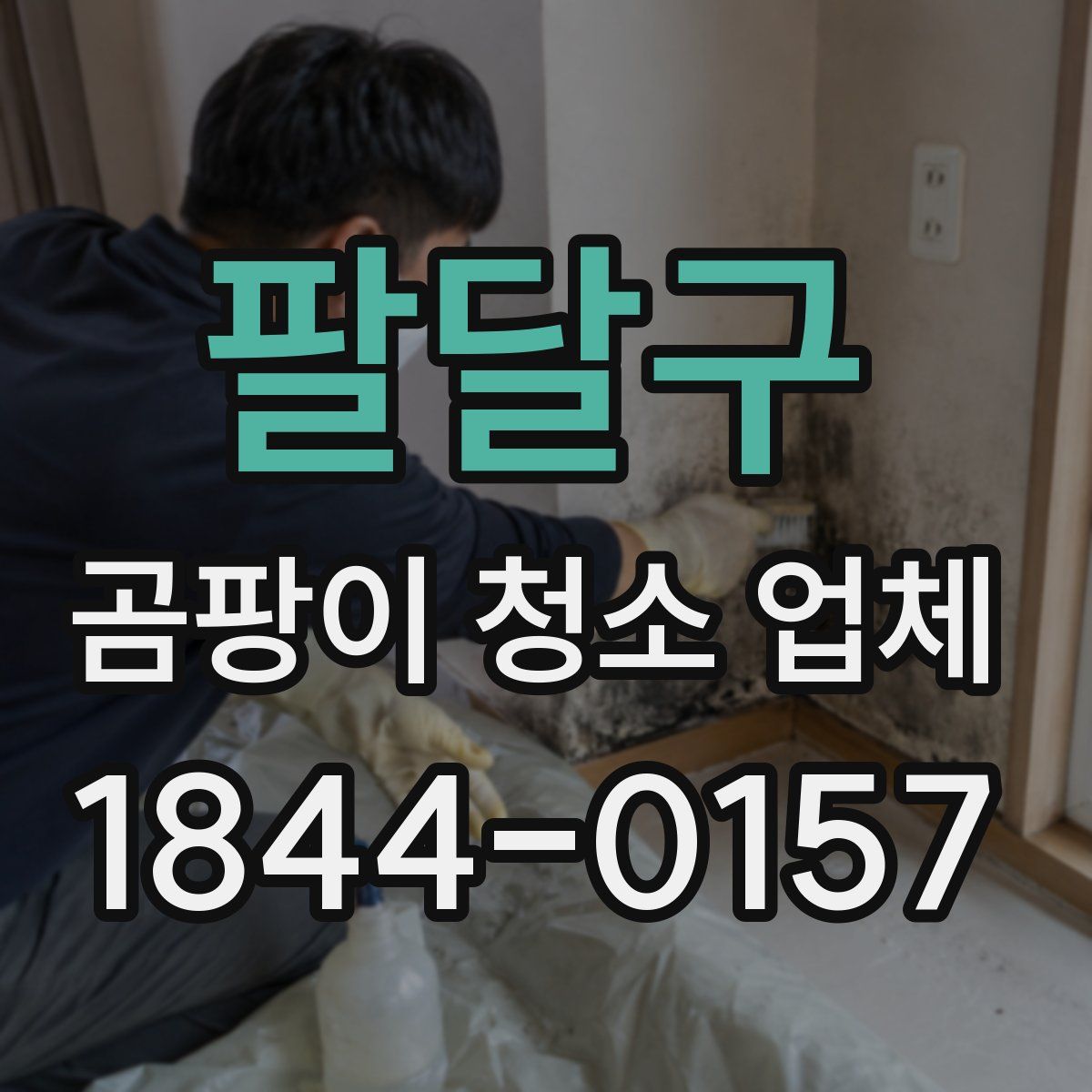 팔달구 곰팡이 청소 업체