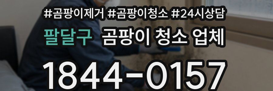 팔달구 곰팡이 청소 업체