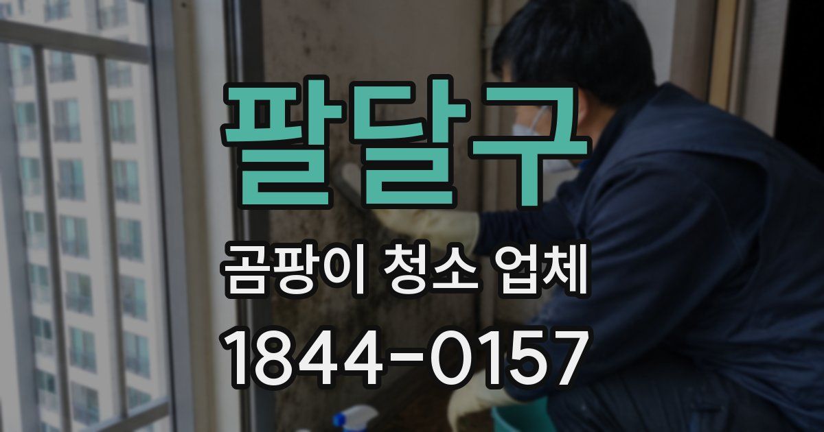 팔달구 곰팡이 청소 업체