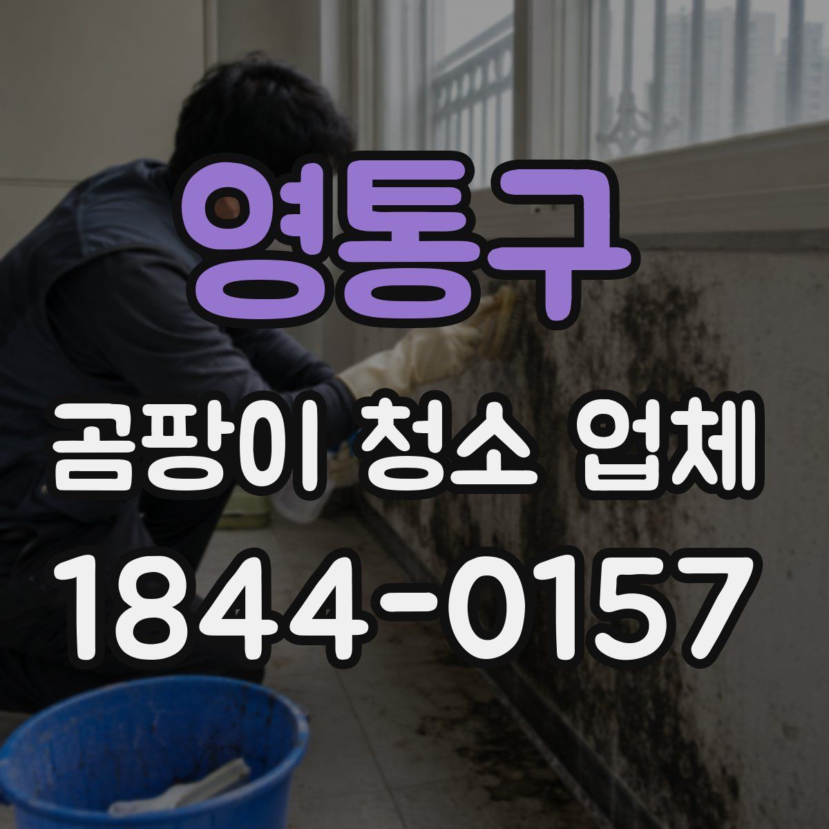 영통구 곰팡이 청소 업체