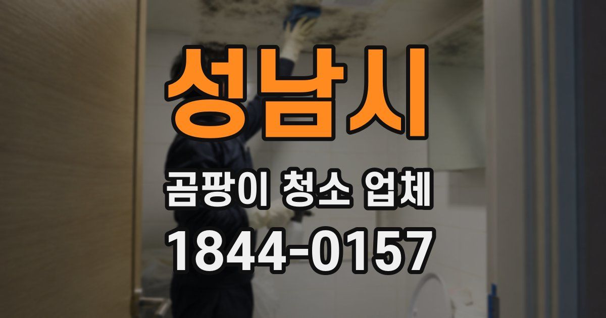성남시 곰팡이 청소 업체