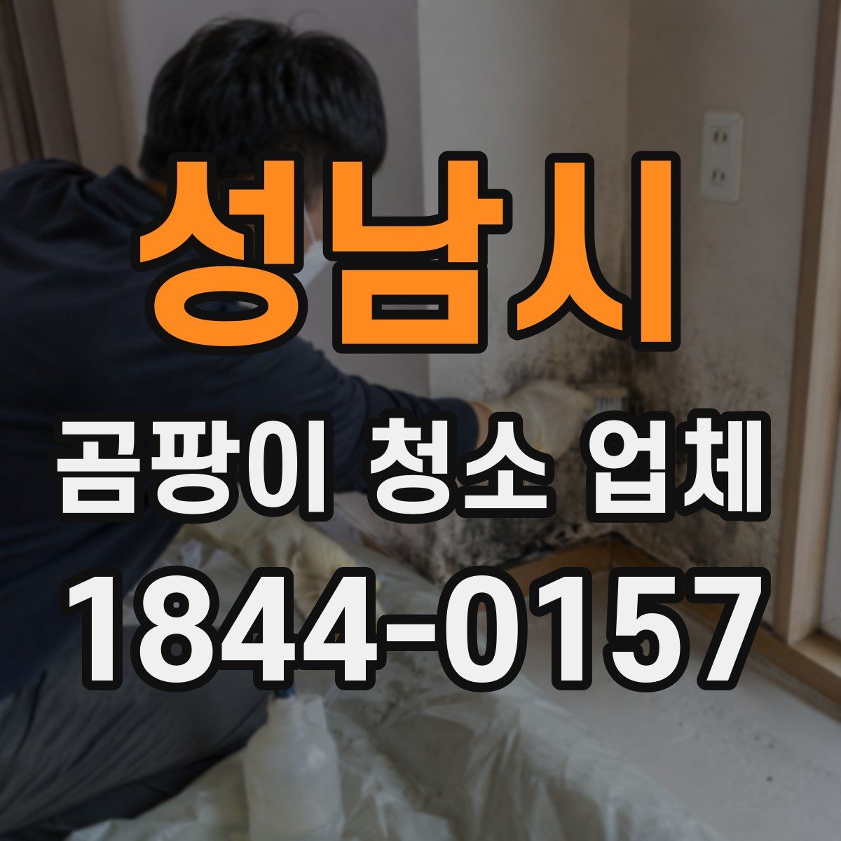 성남시 곰팡이 청소 업체