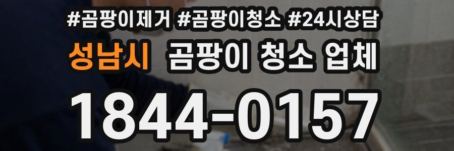 성남시 곰팡이 청소 업체