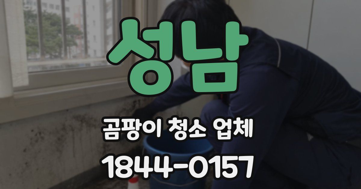 성남 곰팡이 청소 업체