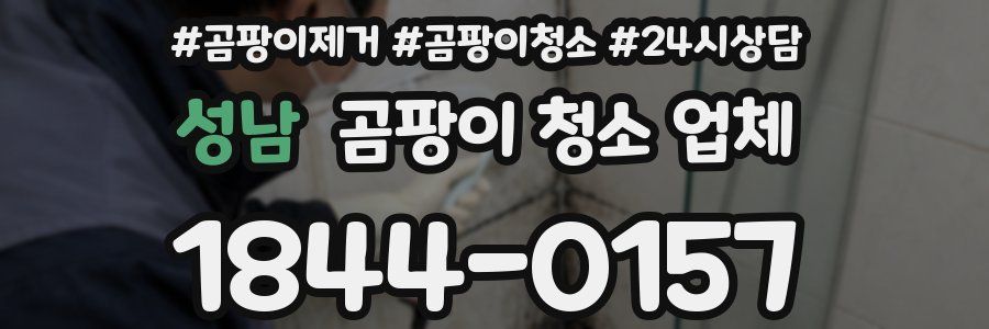 성남 곰팡이 청소 업체