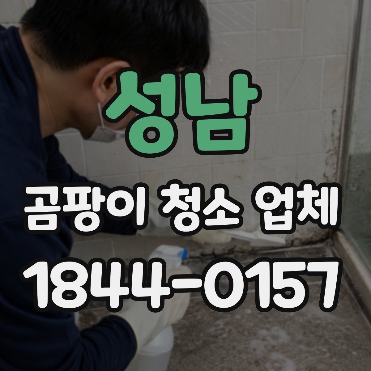 성남 곰팡이 청소 업체