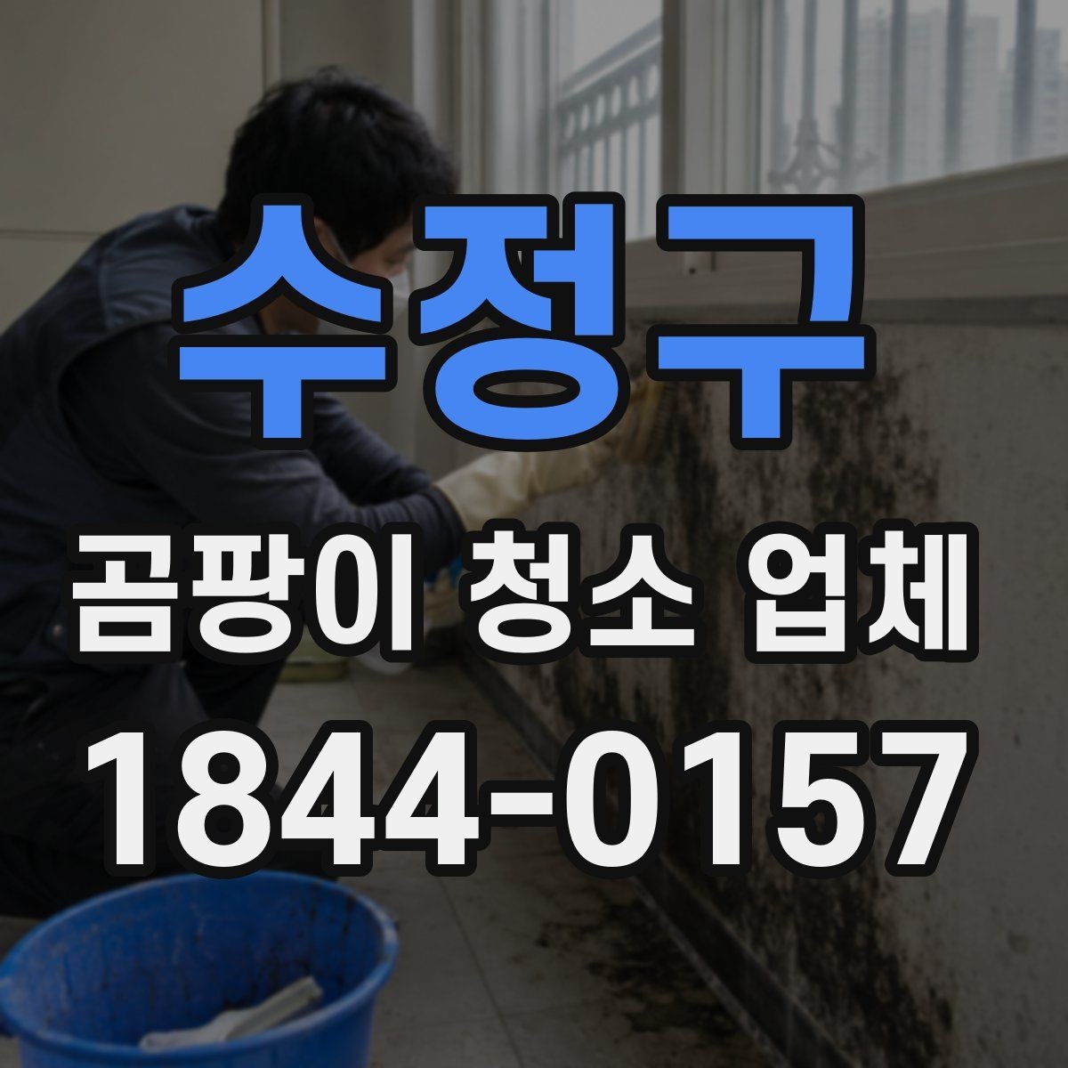 수정구 곰팡이 청소 업체 벽 뒤 숨은 오염까지 확인하는 이유